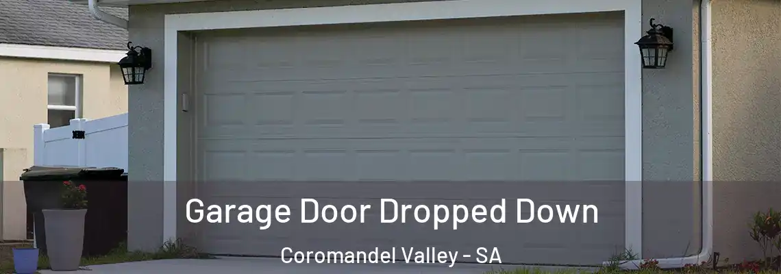  Garage Door Dropped Down Coromandel Valley - SA