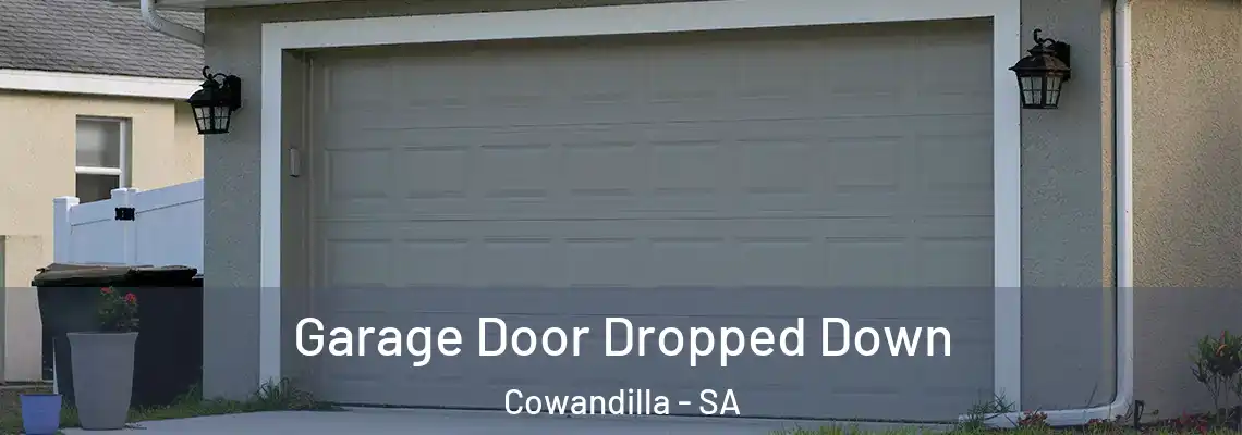  Garage Door Dropped Down Cowandilla - SA