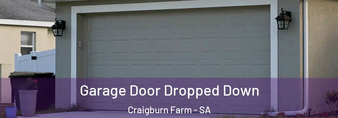  Garage Door Dropped Down Craigburn Farm - SA