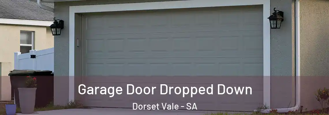  Garage Door Dropped Down Dorset Vale - SA