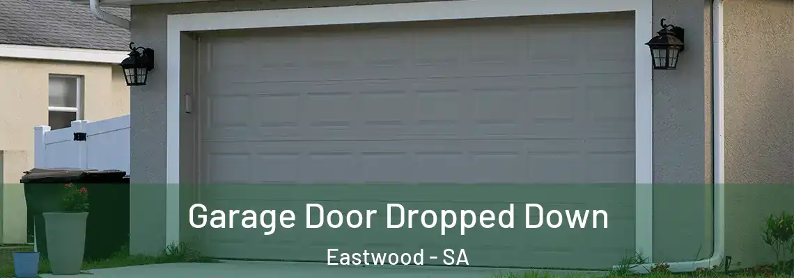  Garage Door Dropped Down Eastwood - SA