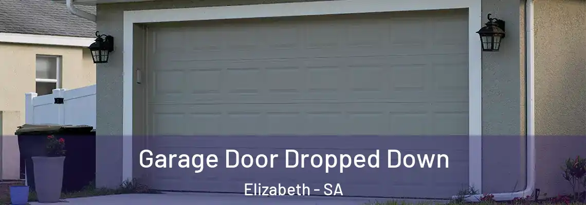 Garage Door Dropped Down Elizabeth - SA