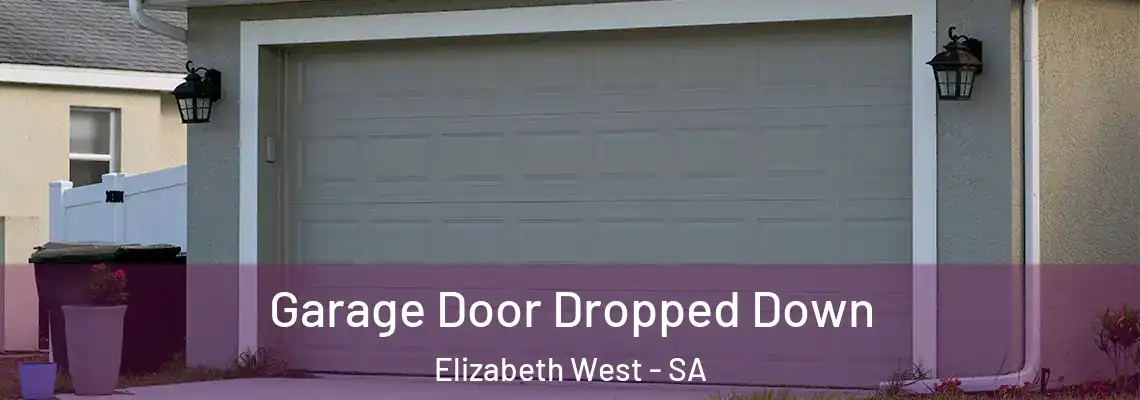  Garage Door Dropped Down Elizabeth West - SA