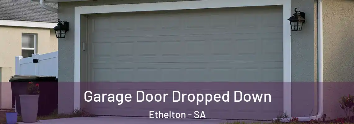  Garage Door Dropped Down Ethelton - SA