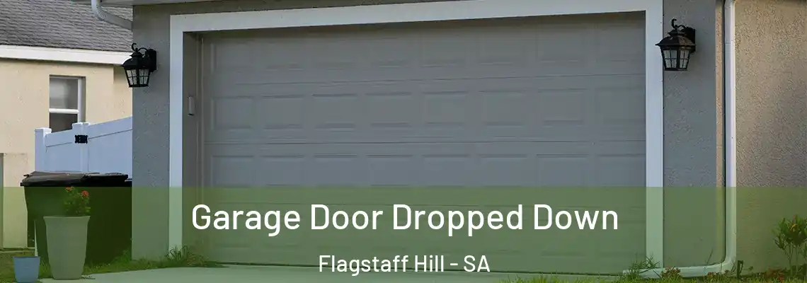 Garage Door Dropped Down Flagstaff Hill - SA
