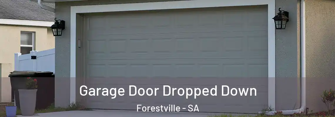 Garage Door Dropped Down Forestville - SA