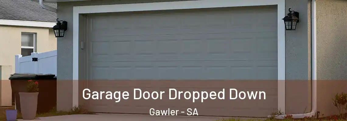  Garage Door Dropped Down Gawler - SA