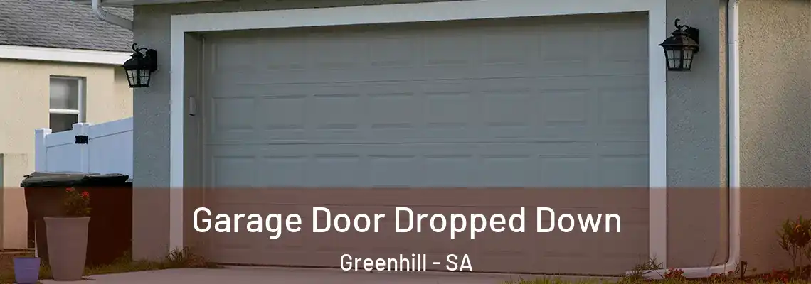  Garage Door Dropped Down Greenhill - SA