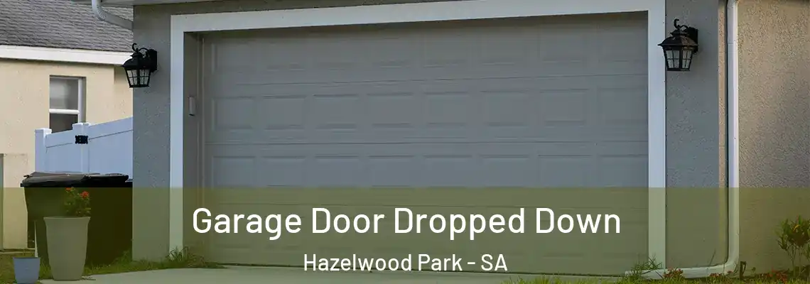  Garage Door Dropped Down Hazelwood Park - SA