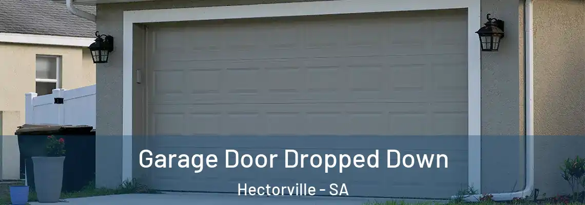  Garage Door Dropped Down Hectorville - SA