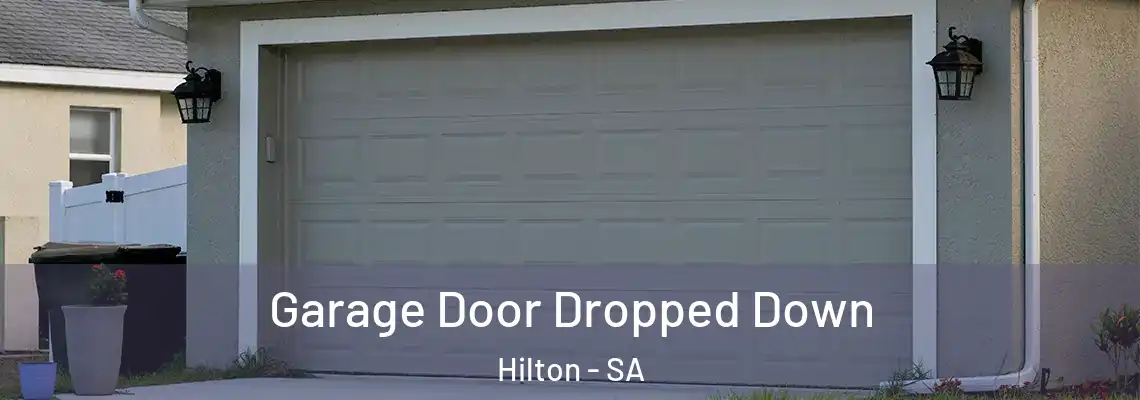 Garage Door Dropped Down Hilton - SA