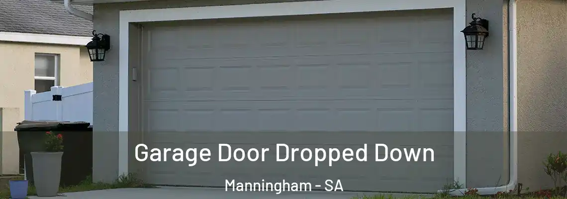  Garage Door Dropped Down Manningham - SA