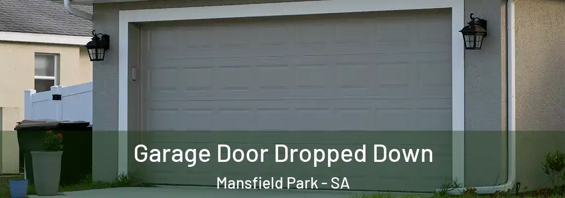 Garage Door Dropped Down Mansfield Park - SA