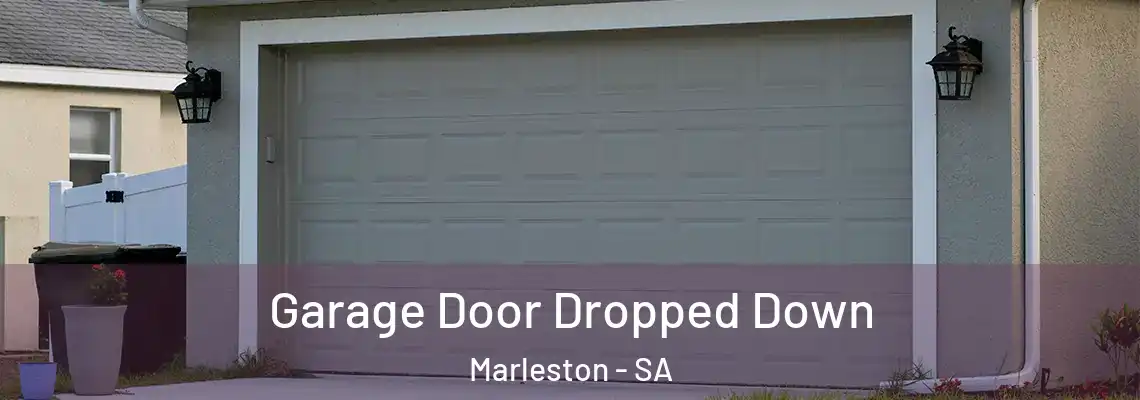  Garage Door Dropped Down Marleston - SA