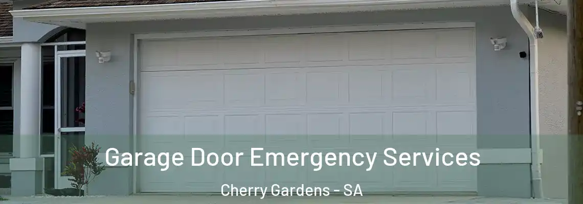  Garage Door Emergency Services Cherry Gardens - SA