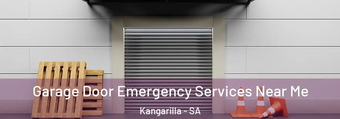  Garage Door Emergency Services Near Me Kangarilla - SA