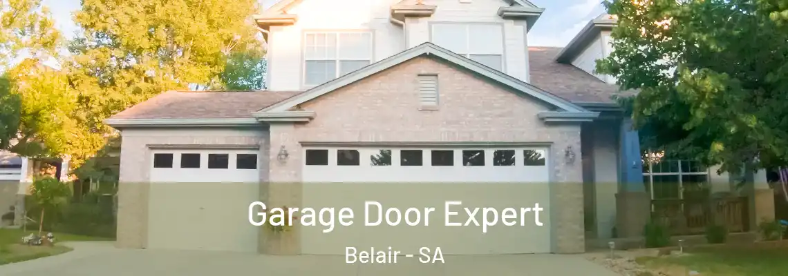 Garage Door Expert Belair - SA