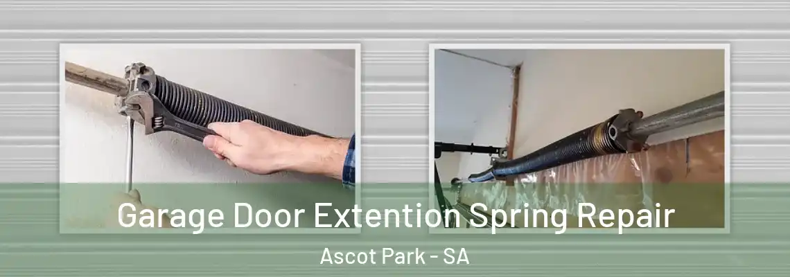  Garage Door Extention Spring Repair Ascot Park - SA