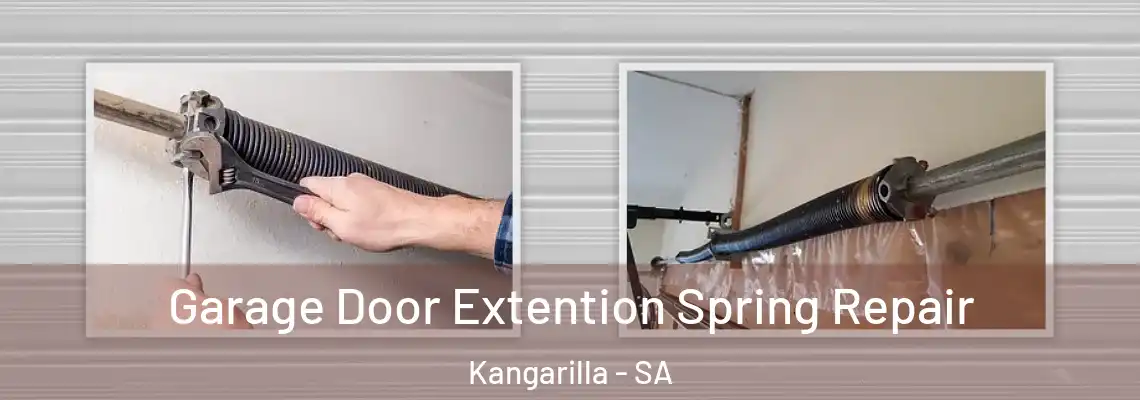 Garage Door Extention Spring Repair Kangarilla - SA