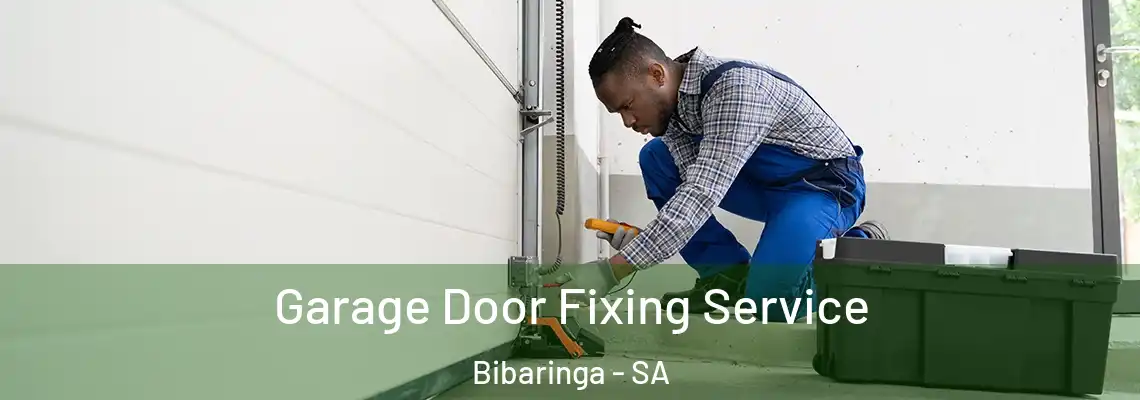 Garage Door Fixing Service Bibaringa - SA