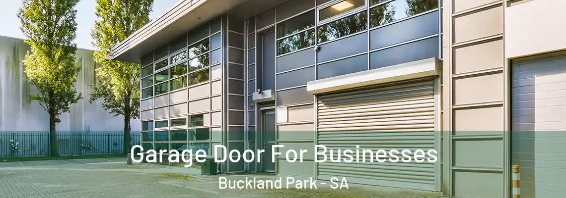  Garage Door For Businesses Buckland Park - SA
