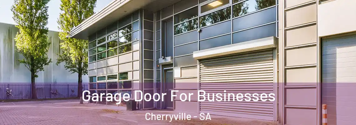 Garage Door For Businesses Cherryville - SA
