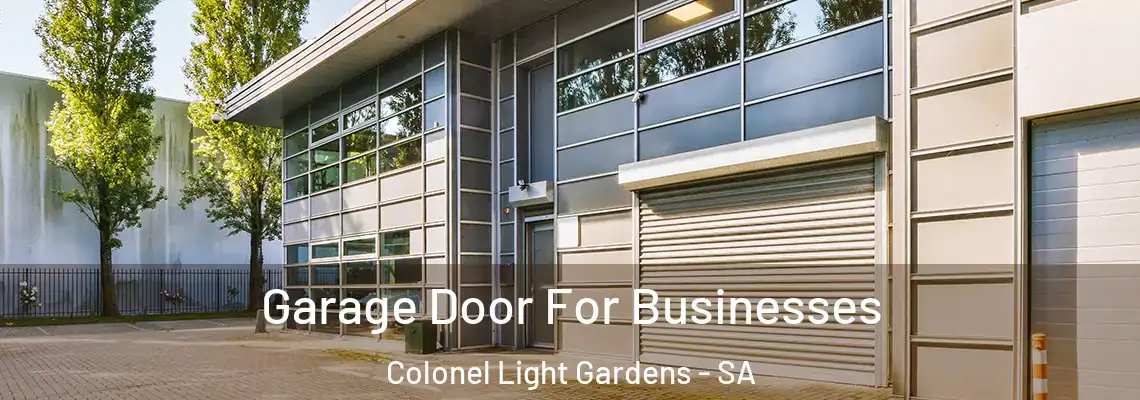  Garage Door For Businesses Colonel Light Gardens - SA