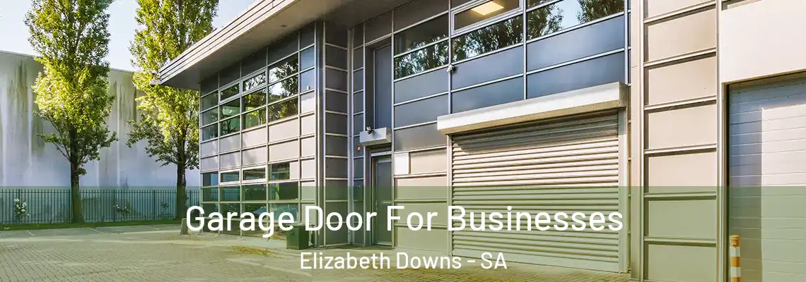  Garage Door For Businesses Elizabeth Downs - SA