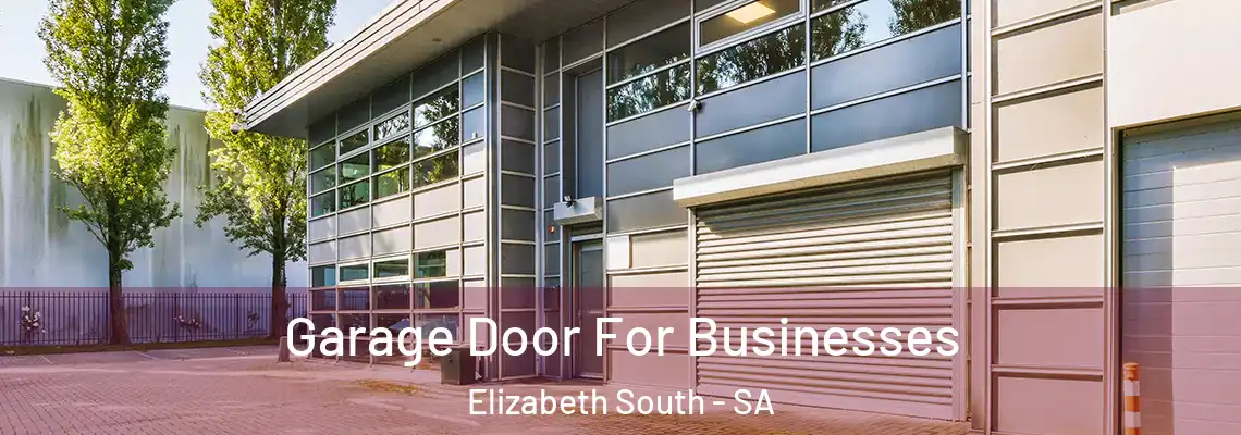  Garage Door For Businesses Elizabeth South - SA