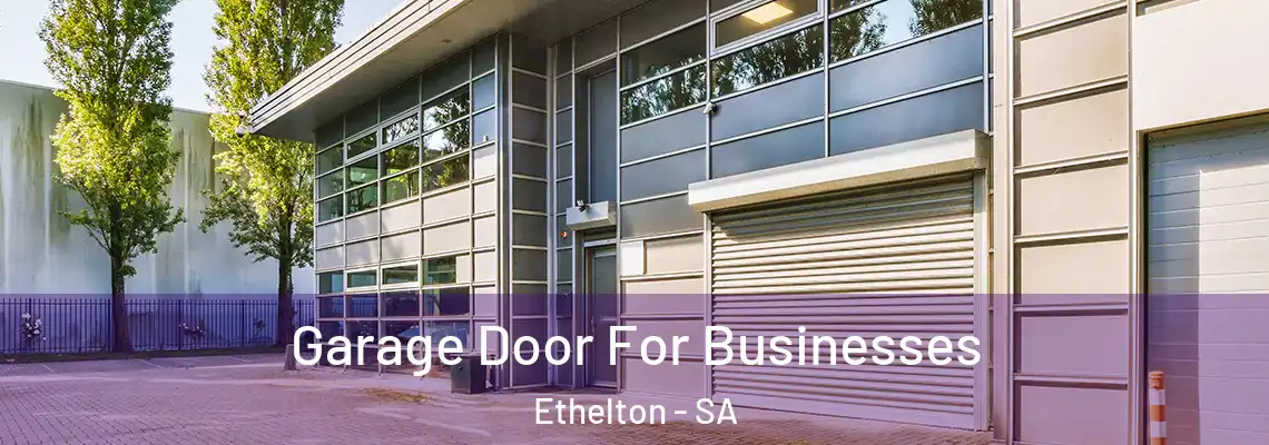 Garage Door For Businesses Ethelton - SA