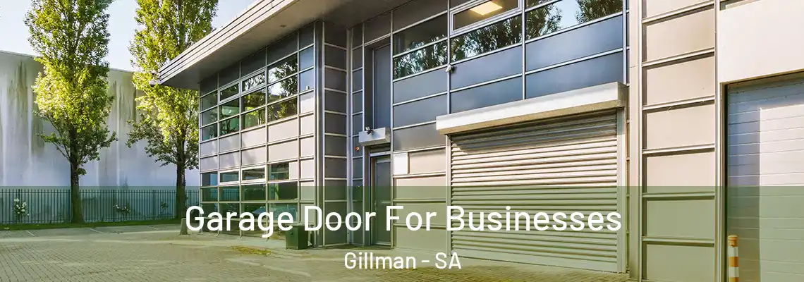 Garage Door For Businesses Gillman - SA