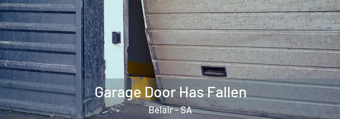  Garage Door Has Fallen Belair - SA