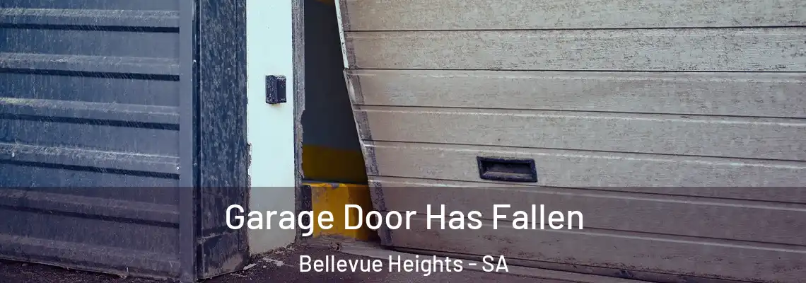  Garage Door Has Fallen Bellevue Heights - SA
