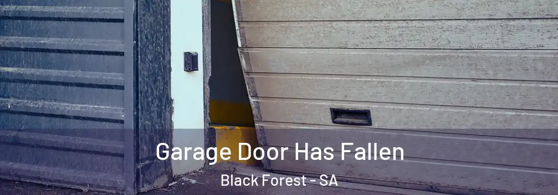  Garage Door Has Fallen Black Forest - SA