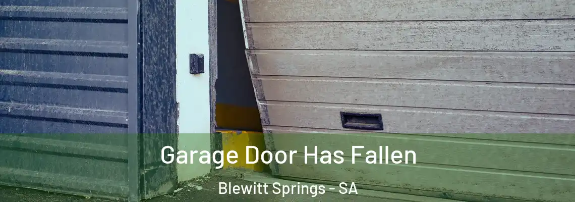  Garage Door Has Fallen Blewitt Springs - SA