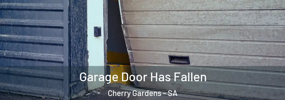Garage Door Has Fallen Cherry Gardens - SA