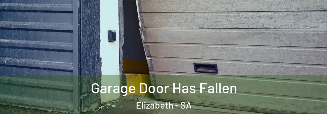  Garage Door Has Fallen Elizabeth - SA