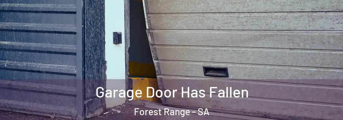 Garage Door Has Fallen Forest Range - SA