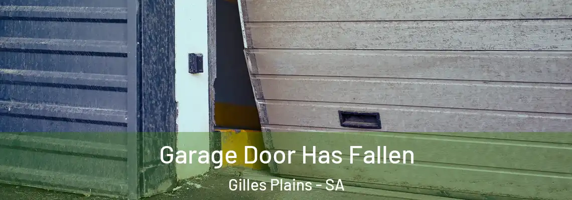 Garage Door Has Fallen Gilles Plains - SA