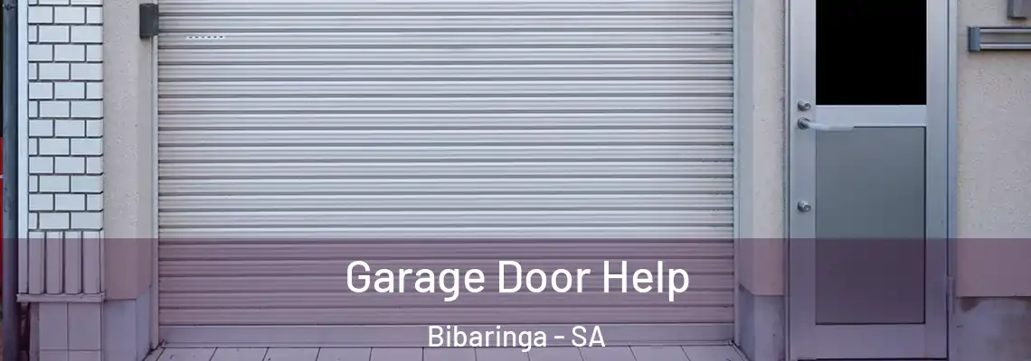 Garage Door Help Bibaringa - SA