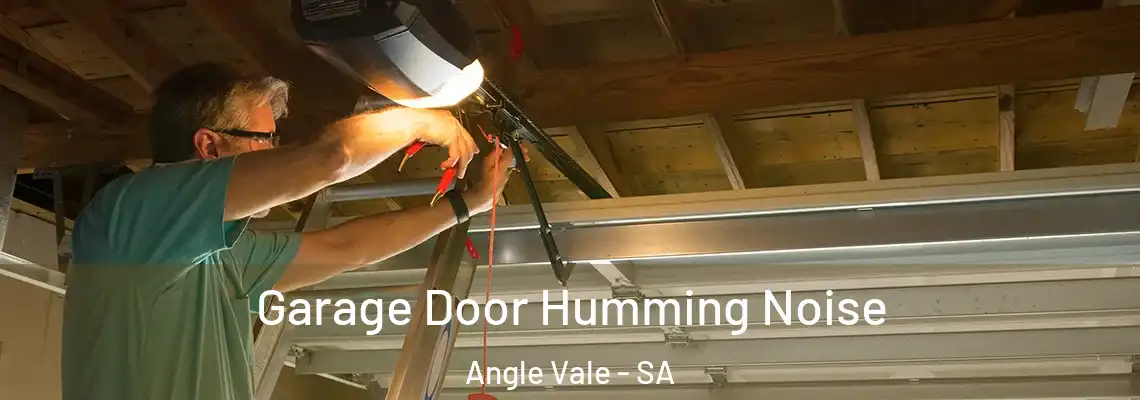 Garage Door Humming Noise Angle Vale - SA