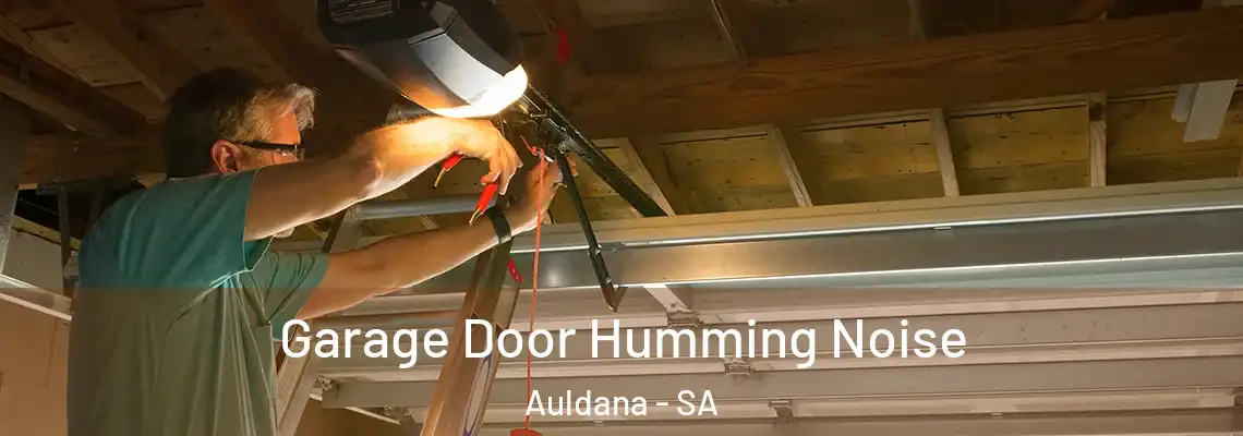 Garage Door Humming Noise Auldana - SA