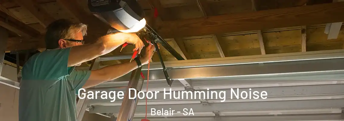 Garage Door Humming Noise Belair - SA