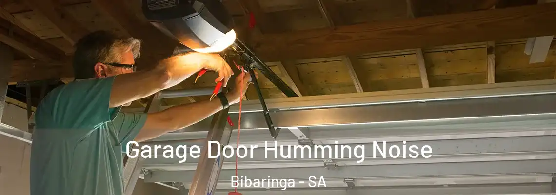  Garage Door Humming Noise Bibaringa - SA