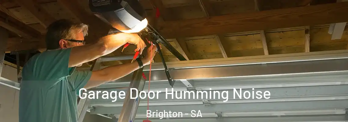  Garage Door Humming Noise Brighton - SA