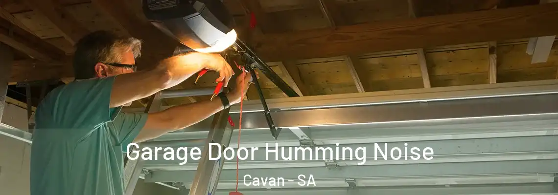  Garage Door Humming Noise Cavan - SA