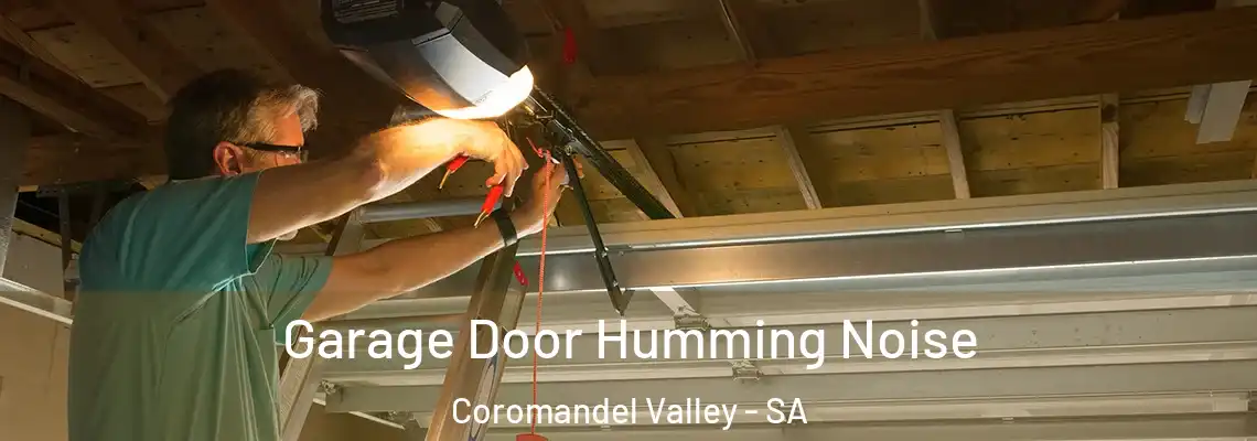 Garage Door Humming Noise Coromandel Valley - SA