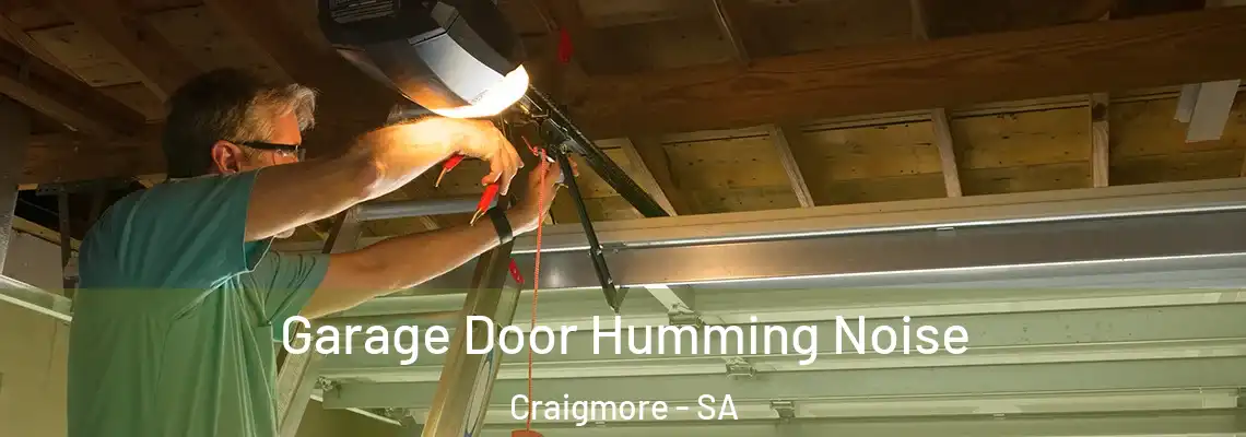 Garage Door Humming Noise Craigmore - SA