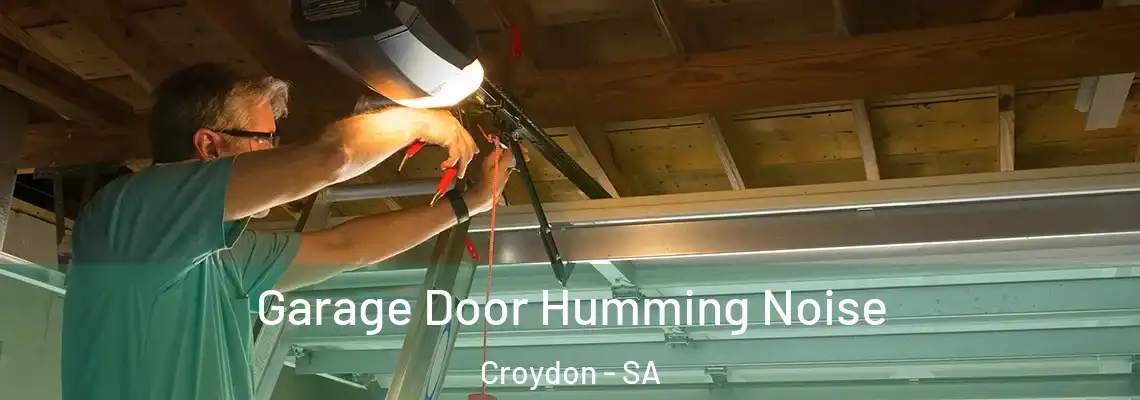  Garage Door Humming Noise Croydon - SA