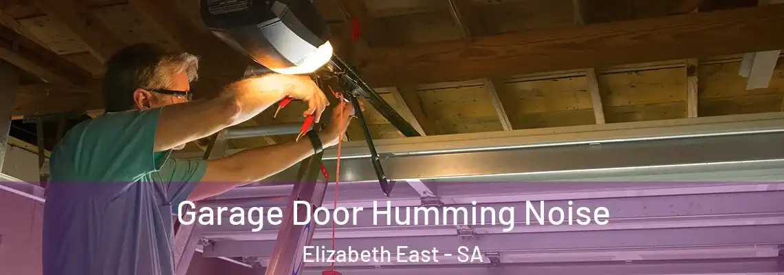  Garage Door Humming Noise Elizabeth East - SA